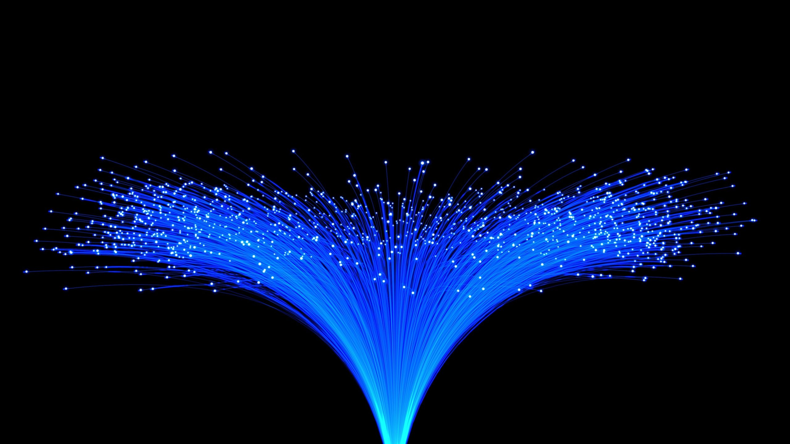 Lit Fiber Optic Lines